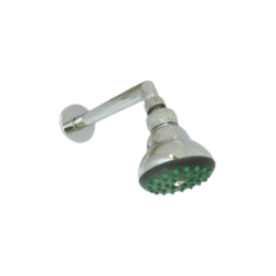 shower with arm rain showers